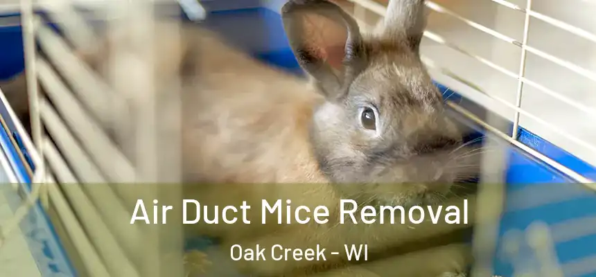 Air Duct Mice Removal Oak Creek - WI