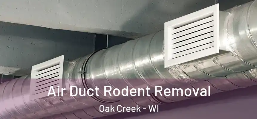 Air Duct Rodent Removal Oak Creek - WI