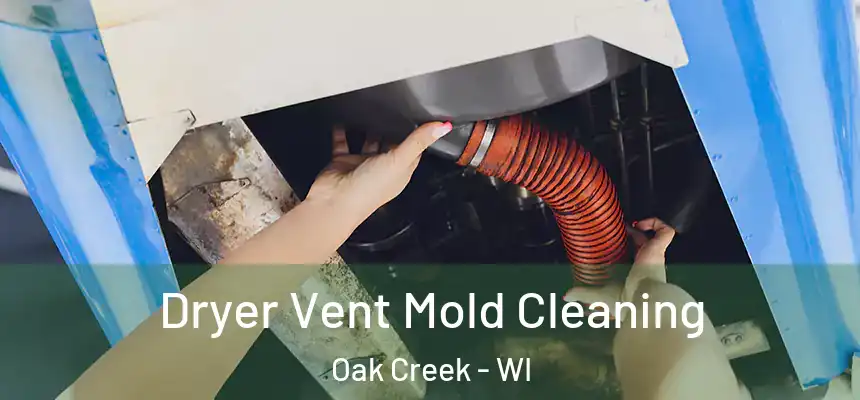  Dryer Vent Mold Cleaning Oak Creek - WI
