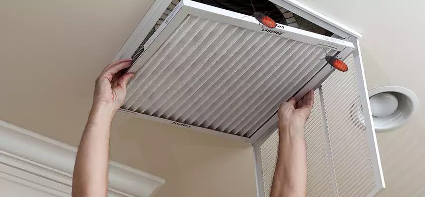 Preventive Cockroach-Proofing for Ducts in Oak Creek