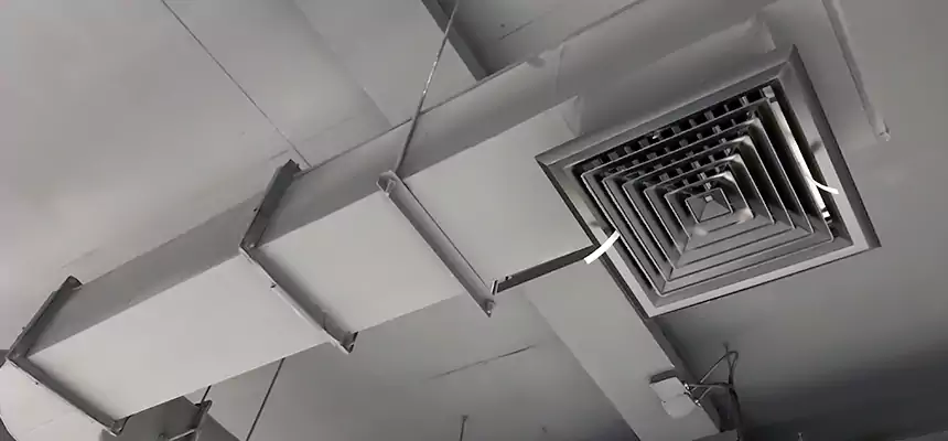 Our Pest Removal From Ducts Services in Oak Creek, WI