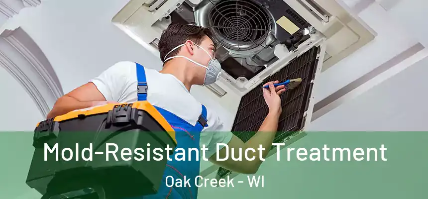 Mold-Resistant Duct Treatment Oak Creek - WI