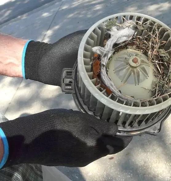 About Air Duct Mice Removal in Oak Creek, WI