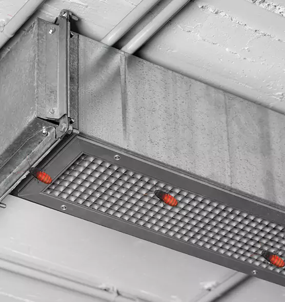 Affordable Insect Removal from Air Ducts in Oak Creek, WI